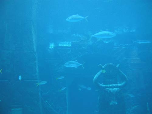 AtlantisAquarium3