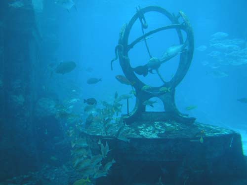 AtlantisAquarium6