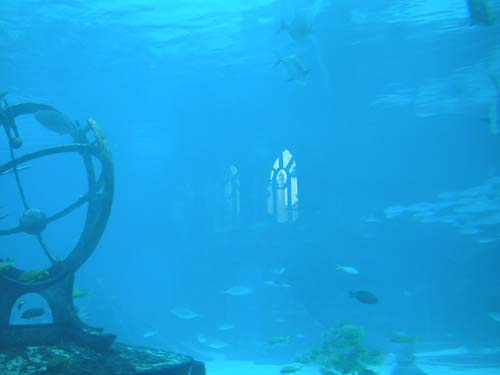 AtlantisAquarium7