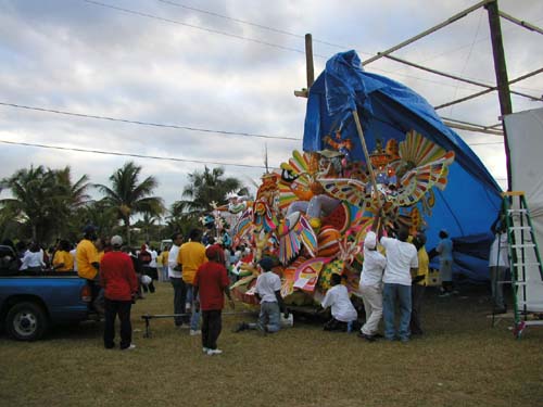 Tarp04