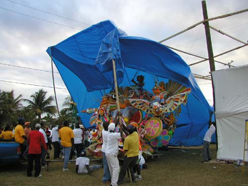 Tarp06