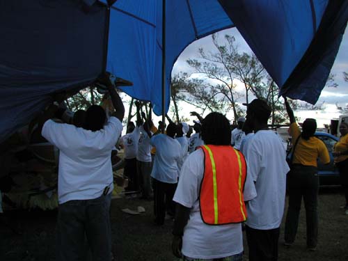 Tarp11