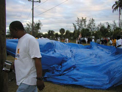 Tarp12