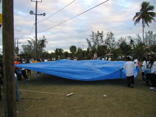 Tarp13