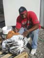 FarmerBrownHead1
