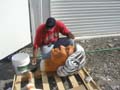 FarmerBrownHead2
