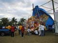 Tarp04