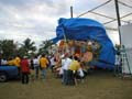 Tarp05