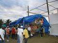 Tarp08