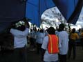 Tarp11