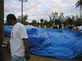 Tarp12