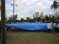 Tarp13