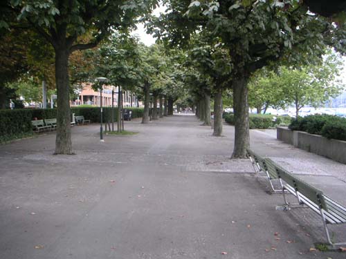 LakeZurichWalk